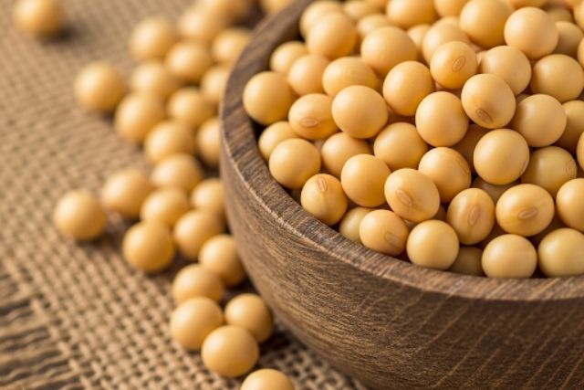 Soybean